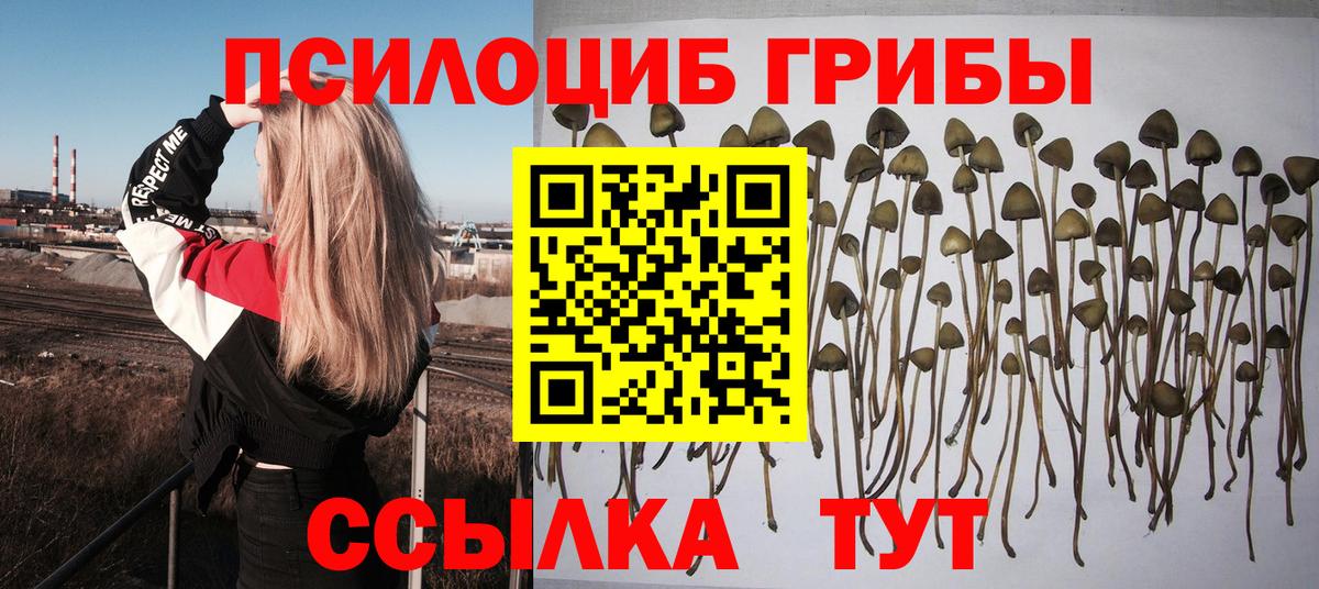Пенза  Галлюциногенные грибы MAGIC MUSHROOMS  Вход с VPN 