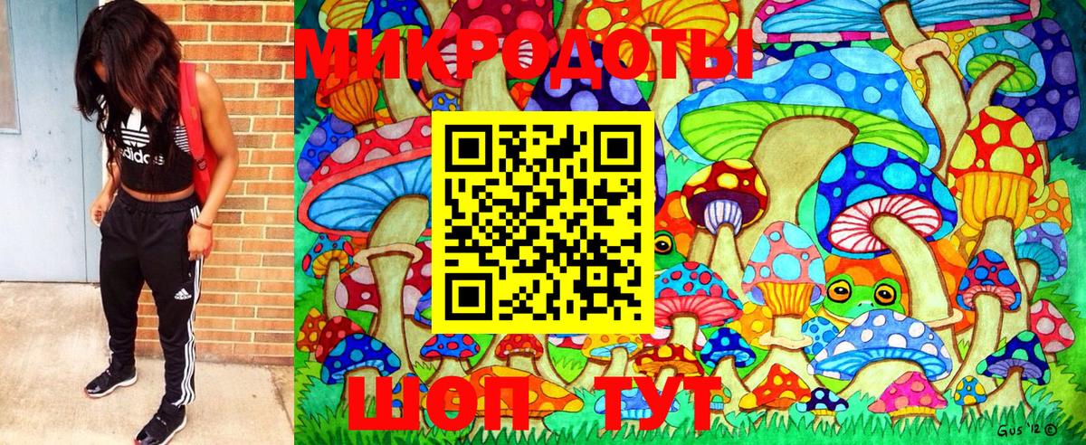 Псилоцибиновые грибы GOLDEN TEACHER Пенза