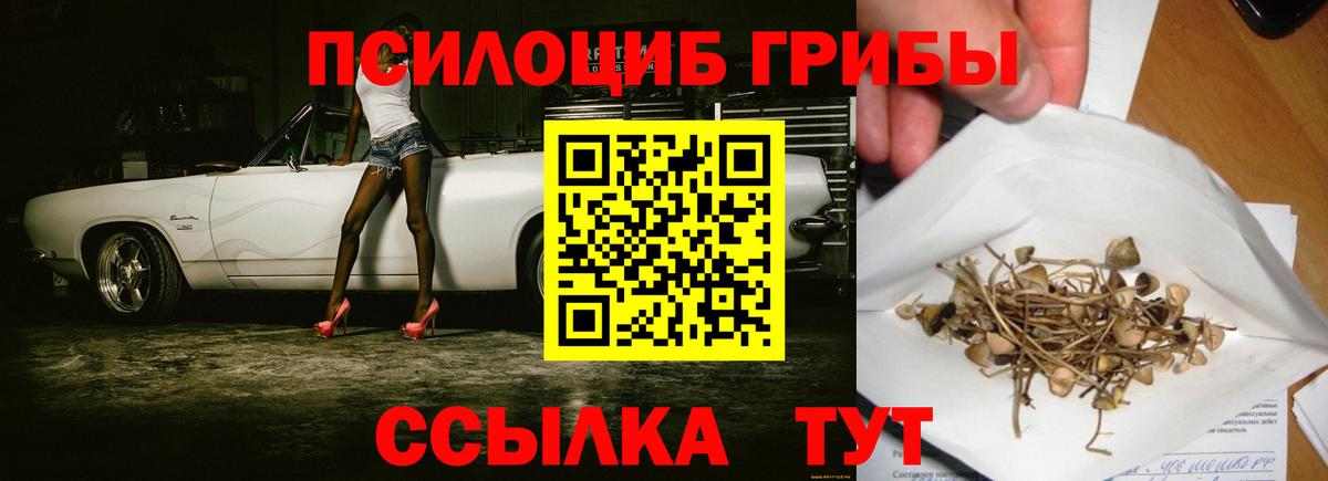 Псилоцибиновые грибы Пенза